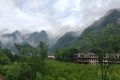 橘子吃多了為什么會(huì)變成“小黃人”？縮略圖