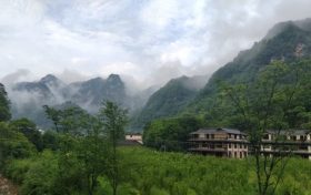 橘子吃多了為什么會(huì)變成“小黃人”？縮略圖