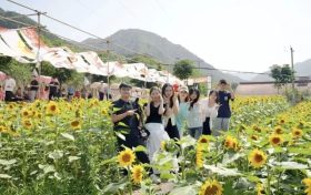 “鄉(xiāng)”聚力量·“創(chuàng)”新未來丨來留壩，給旅行加點“文化”料縮略圖