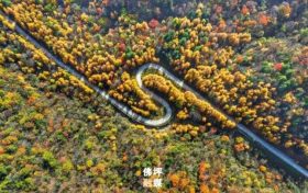 秋滿佛坪，風(fēng)光正好！踏入這抹絢爛秋色里，邂逅只屬于你的心動時刻！縮略圖