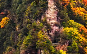 九月九，登九鼎！草川子的秋日盛宴已開席縮略圖