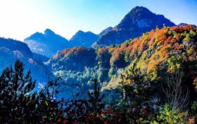 草川子生態(tài)康養(yǎng)旅游度假區(qū)今日恢復(fù)開(kāi)園，正常接待游客縮略圖