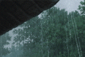 新一輪降雨，上線！縮略圖
