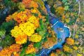 2025漢中黎坪紅葉季10月15日盛大啟幕！18日、19日免門票！縮略圖