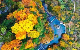 2025漢中黎坪紅葉季10月15日盛大啟幕！18日、19日免門票！縮略圖