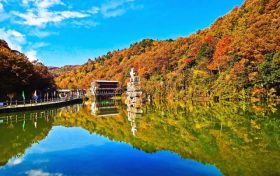 秋染漢江源：從晨曦云海到落日紅葉，每幀都是壁紙級美景縮略圖