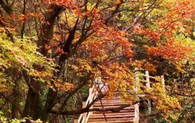 不等了！這個(gè)秋天，我就要去草川子~縮略圖