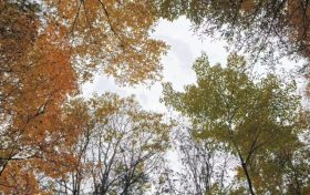 最低-9.7℃！陜西降溫、降雨！漢中→縮略圖