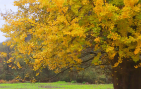 秋假學(xué)子免票游草川子，解鎖秋日里的彩林&石林，速速碼??！縮略圖