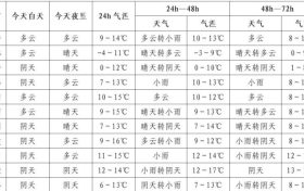 雨夾雪+降雨，陜西新一輪降水來襲！縮略圖